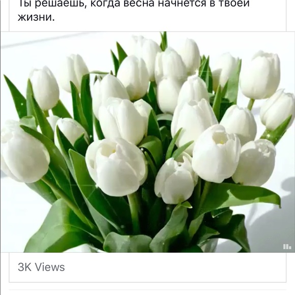 lilechka01